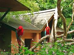 149 BIO PARC DE DOUE LA FONTAINE 4- 2016_000037